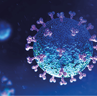 Coronavirus  (SARS-CoV-2) Erkrankungen
